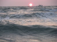 気合の早朝サーフゲーム　鹿島ヒラメ