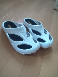 ｻﾝﾀﾞﾙ 2011/07/05 23:21:01