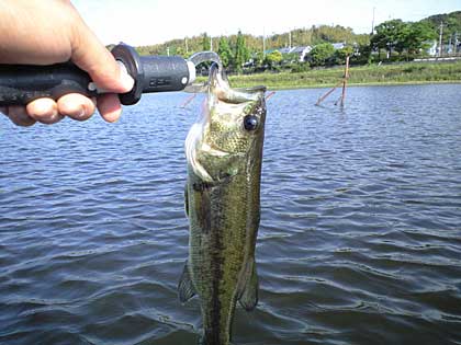 忍耐の釣り