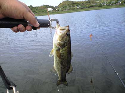 忍耐の釣り