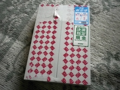 Raspberry Piが届く!!