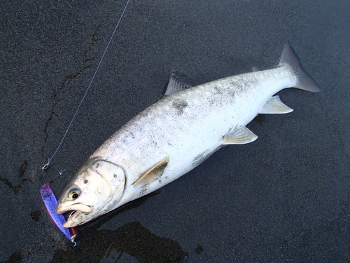 流浪の釣人