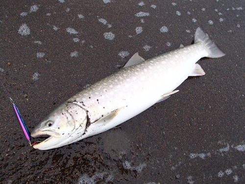 釣れる法則