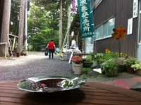 道志の森キャンプ場1 2013/08/03 08:50:41