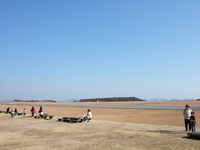 中央森林公園でサイクリング