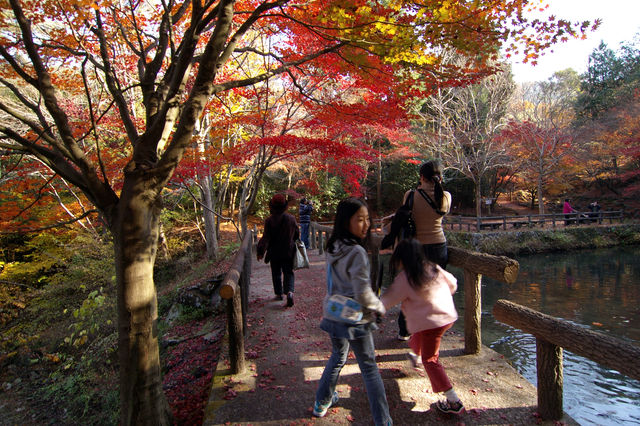 近くの山の紅葉　その２