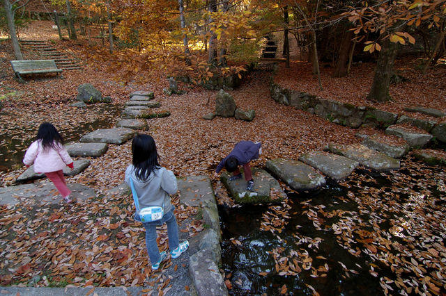 近くの山の紅葉　その２
