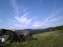 いい天気になってきた