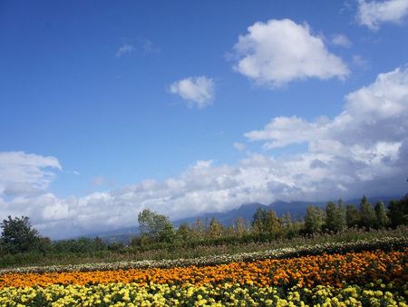 北海道旅行