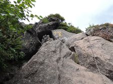 静けさを求めて～奥北八ヶ岳