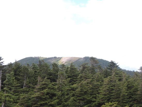 静けさを求めて～奥北八ヶ岳