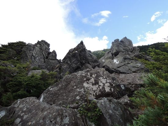 静けさを求めて～奥北八ヶ岳