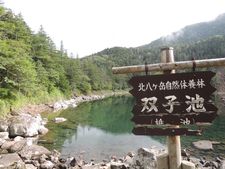 静けさを求めて～奥北八ヶ岳