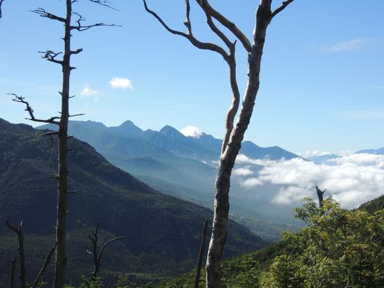 静けさを求めて～奥北八ヶ岳