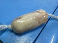 タラジギ出撃…ウプウプ？