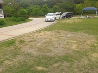 デイキャン