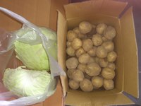 収穫祭！ 2012/06/23 13:05:12