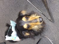 初訪問 2012/12/13 19:00:52