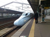 初さくら 2013/01/20 12:13:32