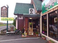 今日の収穫 2013/06/27 22:59:34