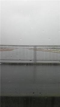 やはり・・・・。 2009/03/14 17:16:58