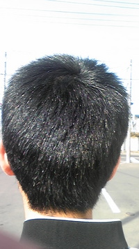 とりあえず更新ｗ 2009/04/08 16:03:11