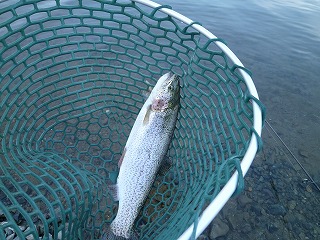 ストレス発散釣行なのか？