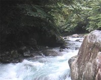 日原川9/16釣行