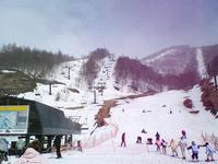 Winter again　～3/20　川場スキー場
