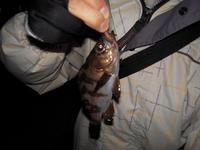 The last night 2010/03/08 02:25:02