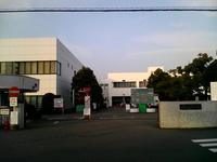 手術への迷い 2010/03/28 01:35:38