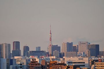 TOKYO TOWERS