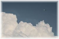 真夏の空振り