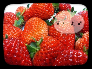 いちご
