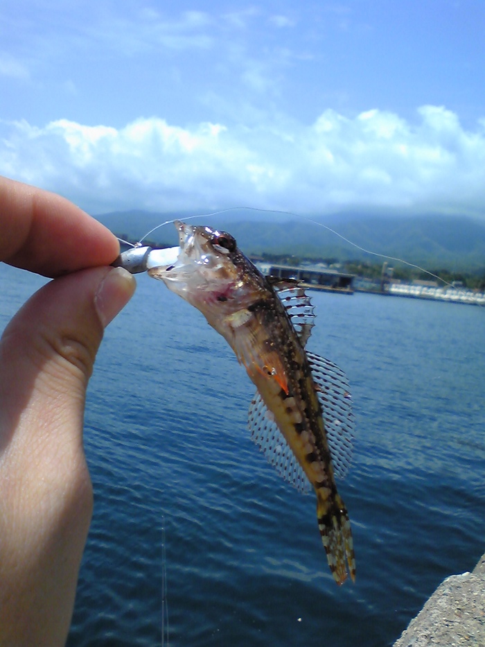 すみあと 佐渡