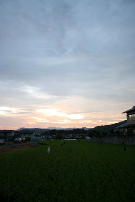 今日の夕日