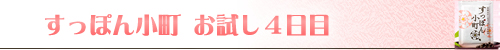 すっぽん小町4日目