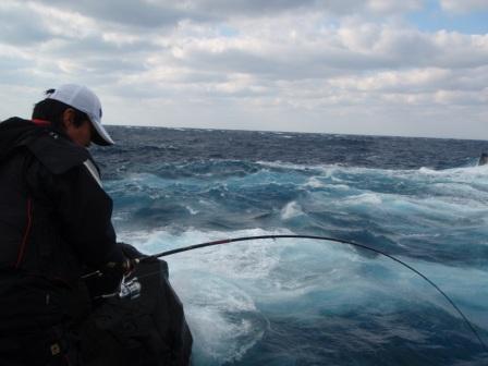 平成25年2月八丈島釣行②