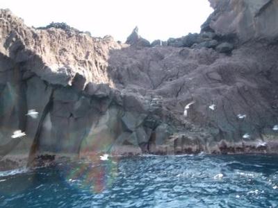 平成25年3月八丈島釣行②