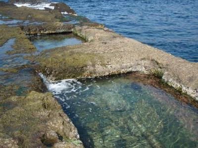 佐渡：海巡り