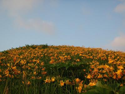 平成25年6月佐渡釣行