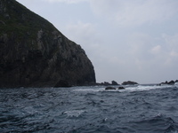 釣ーリング　in　佐渡