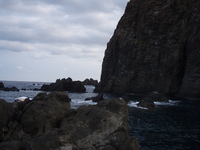 釣ーリング　in　佐渡