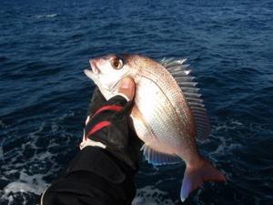 釣り人のココロイキ