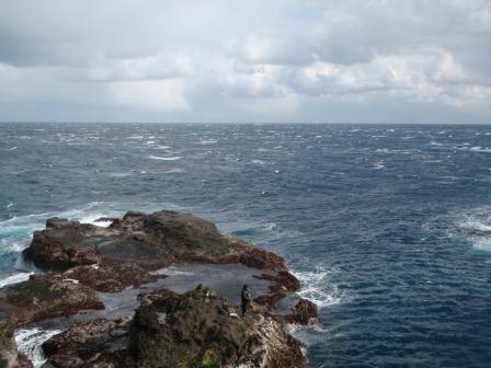 平成24年12月八丈島釣行②