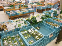４月２８日～２９日で若杉高原キャンプ場に行ってきました(^0^)/