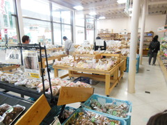 ４月２８日～２９日で若杉高原キャンプ場に行ってきました(^0^)/