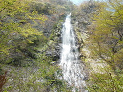 ４月２８日～２９日で若杉高原キャンプ場に行ってきました(^0^)/