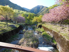 マキノ高原キャンプ場に行ってきました　(^-^)　　（その１）