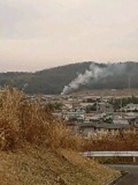 狼煙は狼の糞を燃やして焚きます